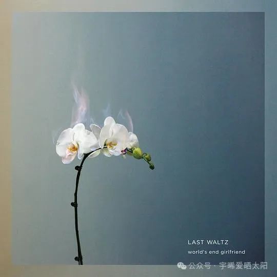 Featured image of post 随笔·诗｜一片对折的枯叶 是我被赠予的礼物